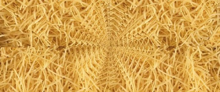 Networking With Purpose: Is Your Spaghetti Sticking?